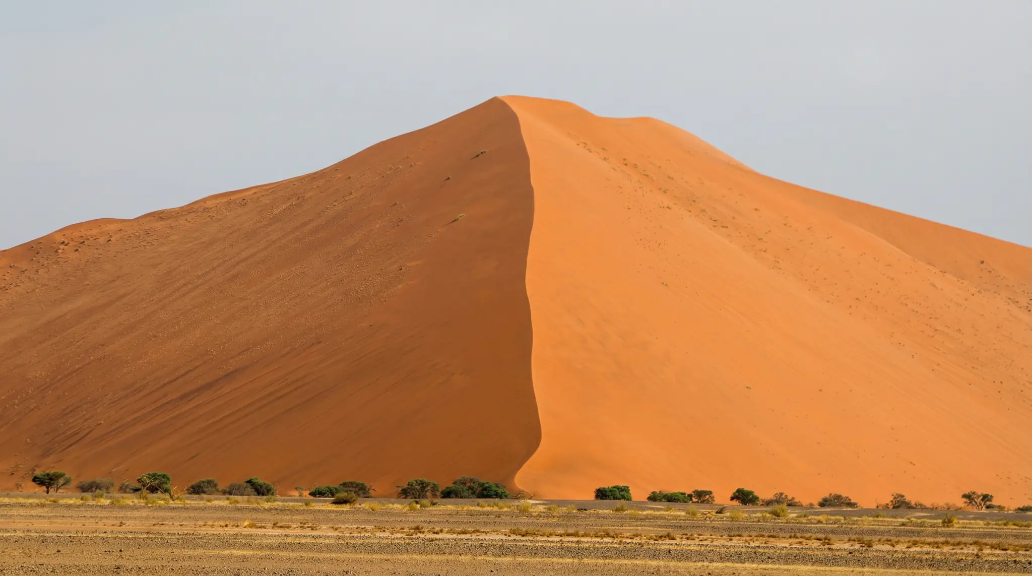 Namibian Desert Sand Dune