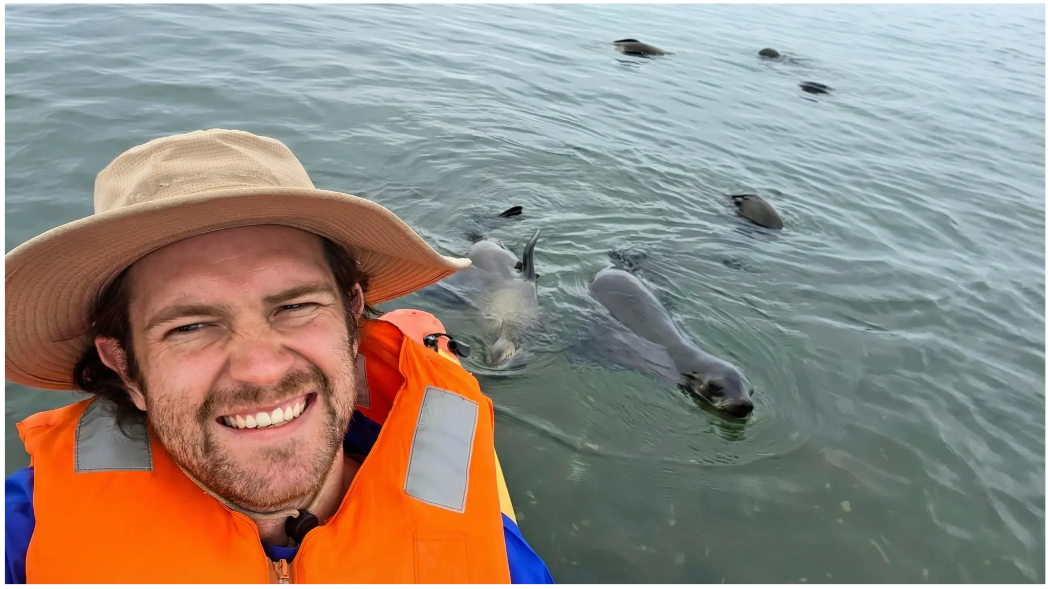 Kayaking with seals in Walvis Bay